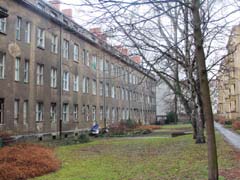 01_Uhu2_6478